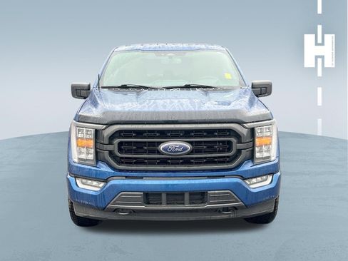 Used 2023 Ford F150 XLT w/ Equipment Group 302A High image 2