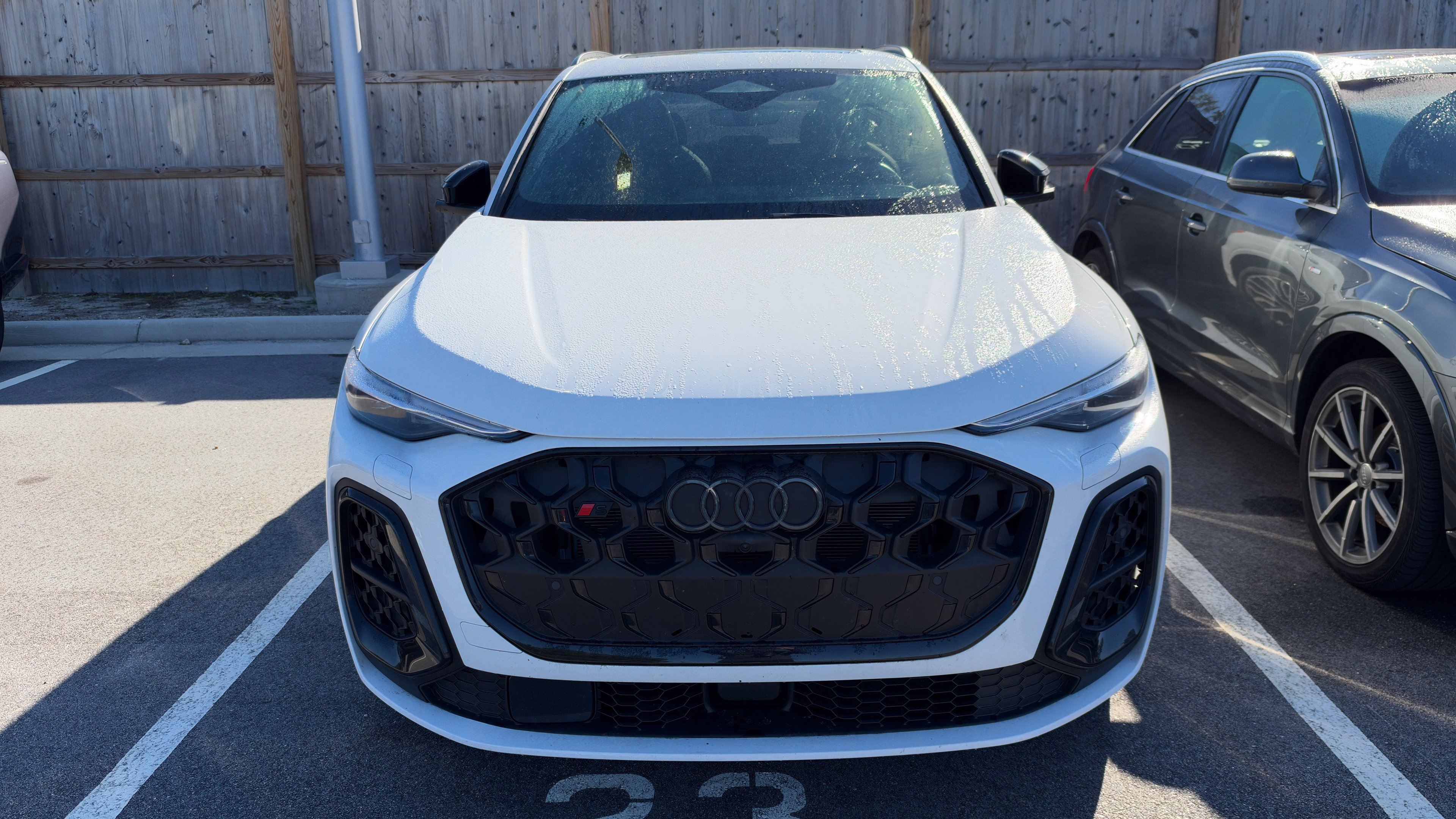 Used 2025 Audi SQ5 Premium Plus w/ Premium Plus Package AWD/4WD image 12