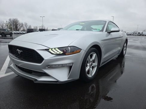 Used 2019 Ford Mustang Coupe image 2