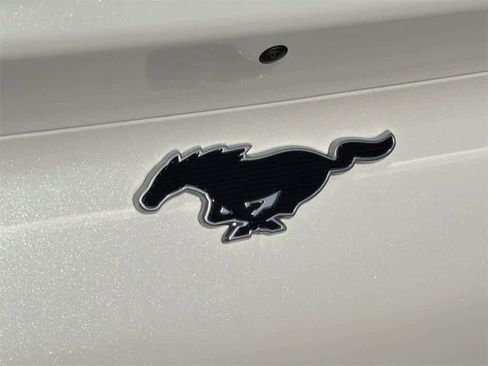 Used 2021 Ford Mustang Mach-E Premium image 33