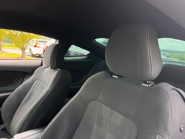 Used 2019 Ford Mustang Coupe RWD image 13