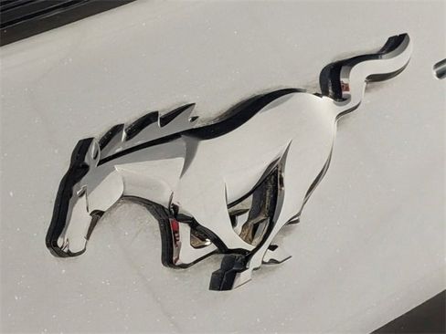 Used 2020 Ford Mustang EcoBoost w/ Black Accent Package image 11