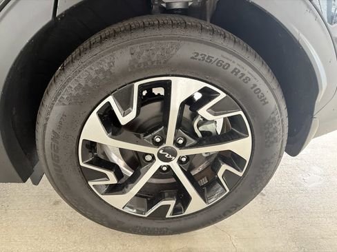 Used 2025 Kia Sportage EX FWD image 12