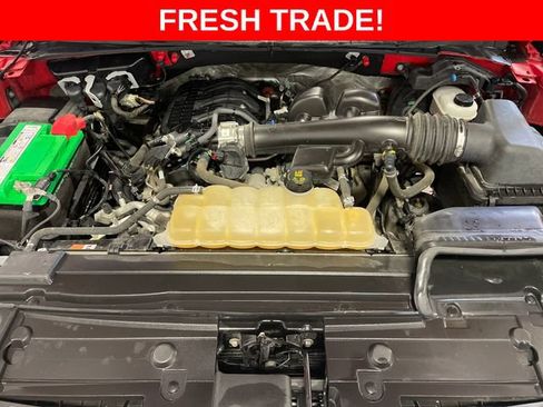 Used 2019 Ford F150 XLT w/ Equipment Group 302A Luxury AWD/4WD image 18