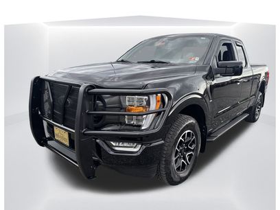 Used 2023 Ford F150 XLT w/ Equipment Group 302A High