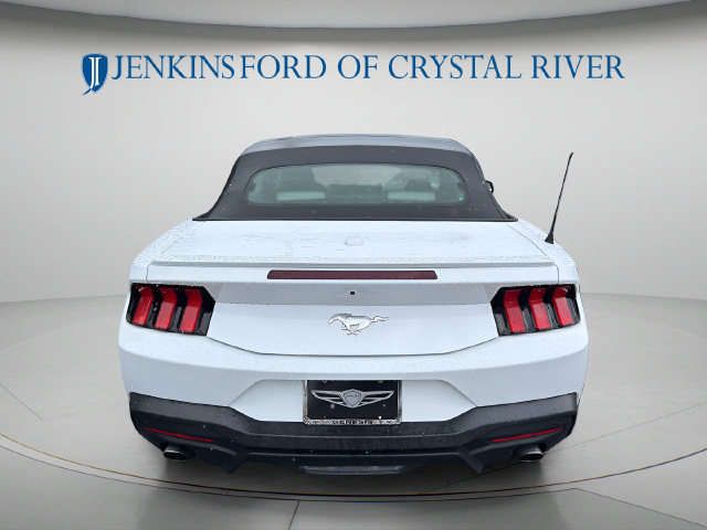 Used 2024 Ford Mustang Premium RWD image 7
