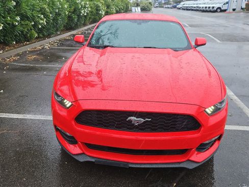 Used 2017 Ford Mustang Coupe w/ Enhanced Security Package RWD image 4