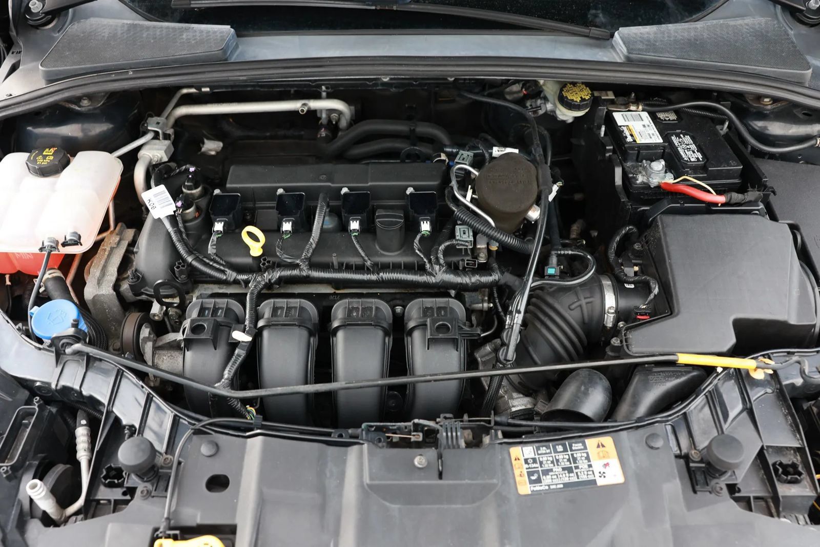 Used 2015 Ford Focus SE w/ SE Sport Package FWD image 47