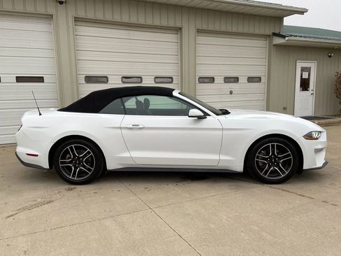 Used 2023 Ford Mustang Premium RWD image 13