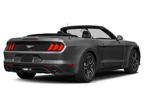 Used 2019 Ford Mustang Premium w/ Equipment Group 201A image 2