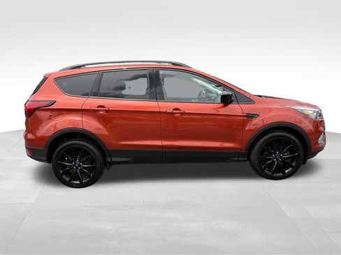 Used 2019 Ford Escape SE AWD/4WD image 5