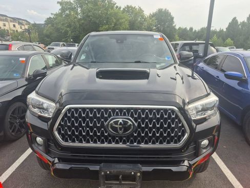 Used 2019 Toyota Tacoma TRD Sport w/ TRD Premium Sport Package AWD/4WD image 2