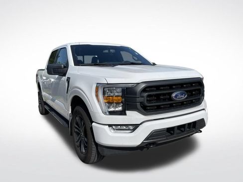 Used 2021 Ford F150 XLT w/ Equipment Group 302A High AWD/4WD image 2
