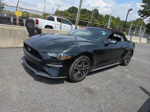 Used 2022 Ford Mustang Premium RWD image 3