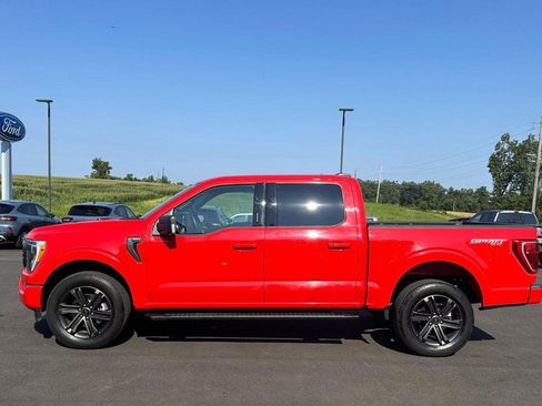 Used 2022 Ford F150 XLT w/ Equipment Group 302A High image 5