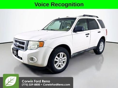 Used 2011 Ford Escape XLT w/ 202A Rapid Spec Order Code image 3