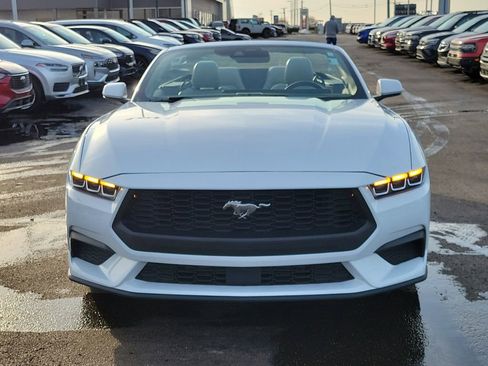 Certified 2024 Ford Mustang Premium image 2