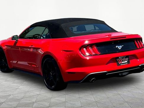 Used 2019 Ford Mustang Premium RWD image 4