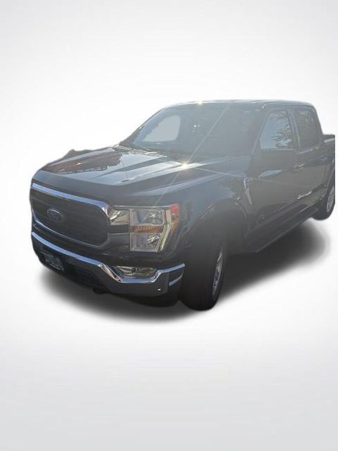 Used 2022 Ford F150 XLT w/ Equipment Group 301A Mid AWD/4WD image 2