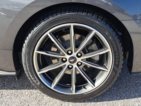 Used 2019 Ford Mustang Premium w/ Equipment Group 201A image 5