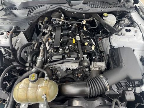 Used 2021 Ford Mustang Premium image 12