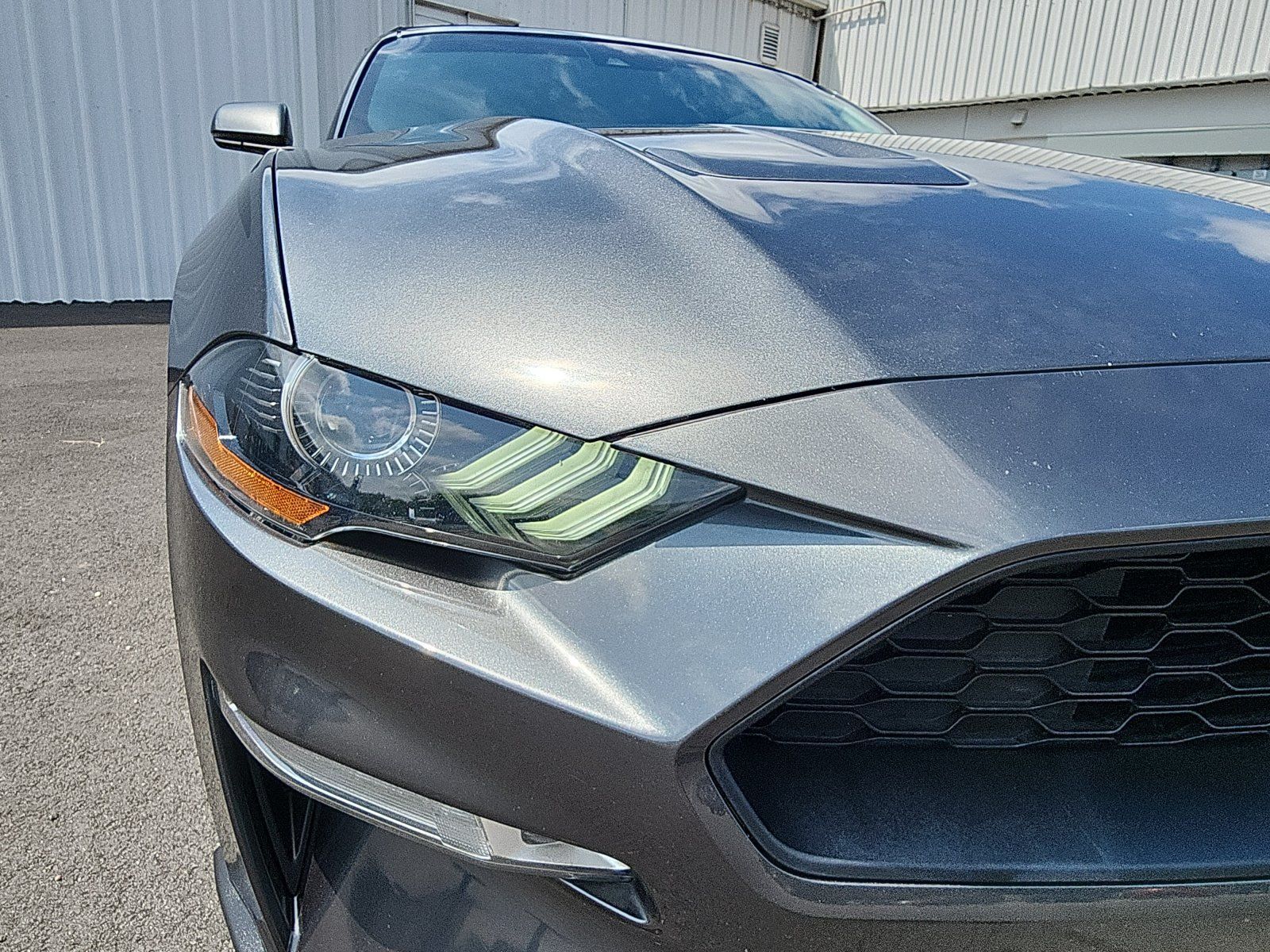 Used 2019 Ford Mustang Premium w/ Equipment Group 201A RWD image 12