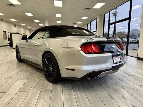 Used 2016 Ford Mustang Premium image 7