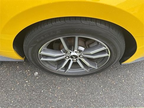 Used 2016 Ford Mustang Premium w/ Equipment Group 201A image 5