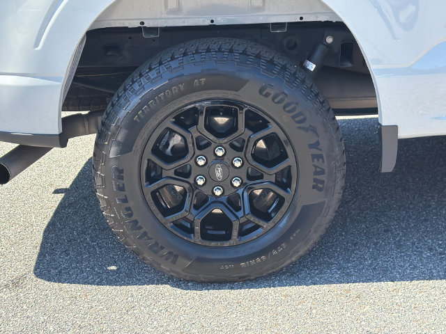 Certified 2024 Ford F150 XLT w/ Equipment Group 302A MID AWD/4WD image 19