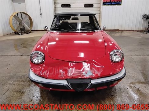 Used 1986 Alfa Romeo Spider Veloce image 7