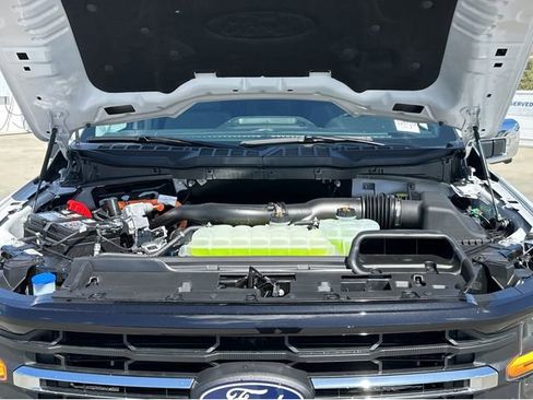 New 2025 Ford F150 XLT w/ Equipment Group 302A MID image 41