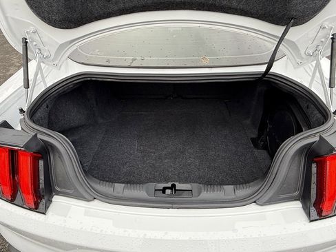 Used 2019 Ford Mustang GT Premium w/ Equipment Group 401A image 10