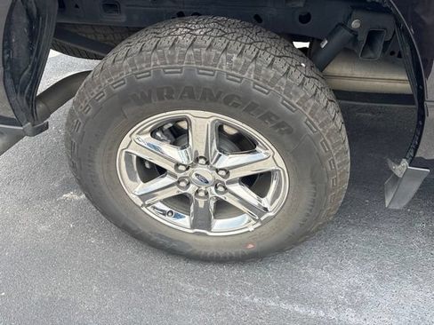 Used 2025 Ford F150 XLT w/ Equipment Group 301A Standard AWD/4WD image 5