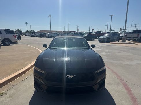 Used 2024 Ford Mustang Premium RWD image 2