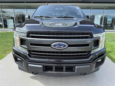 Used 2019 Ford F150 XLT w/ Equipment Group 302A Luxury image 3