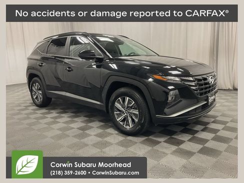 Used 2024 Hyundai Tucson Blue AWD/4WD image 1
