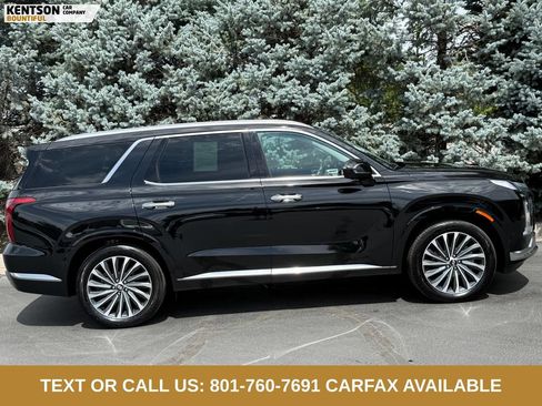 Used 2025 Hyundai Palisade Calligraphy AWD/4WD image 10