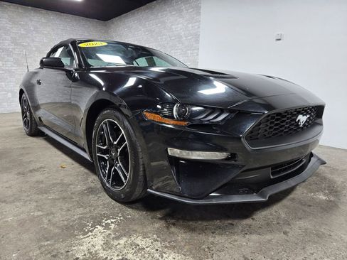 Used 2023 Ford Mustang Premium image 7