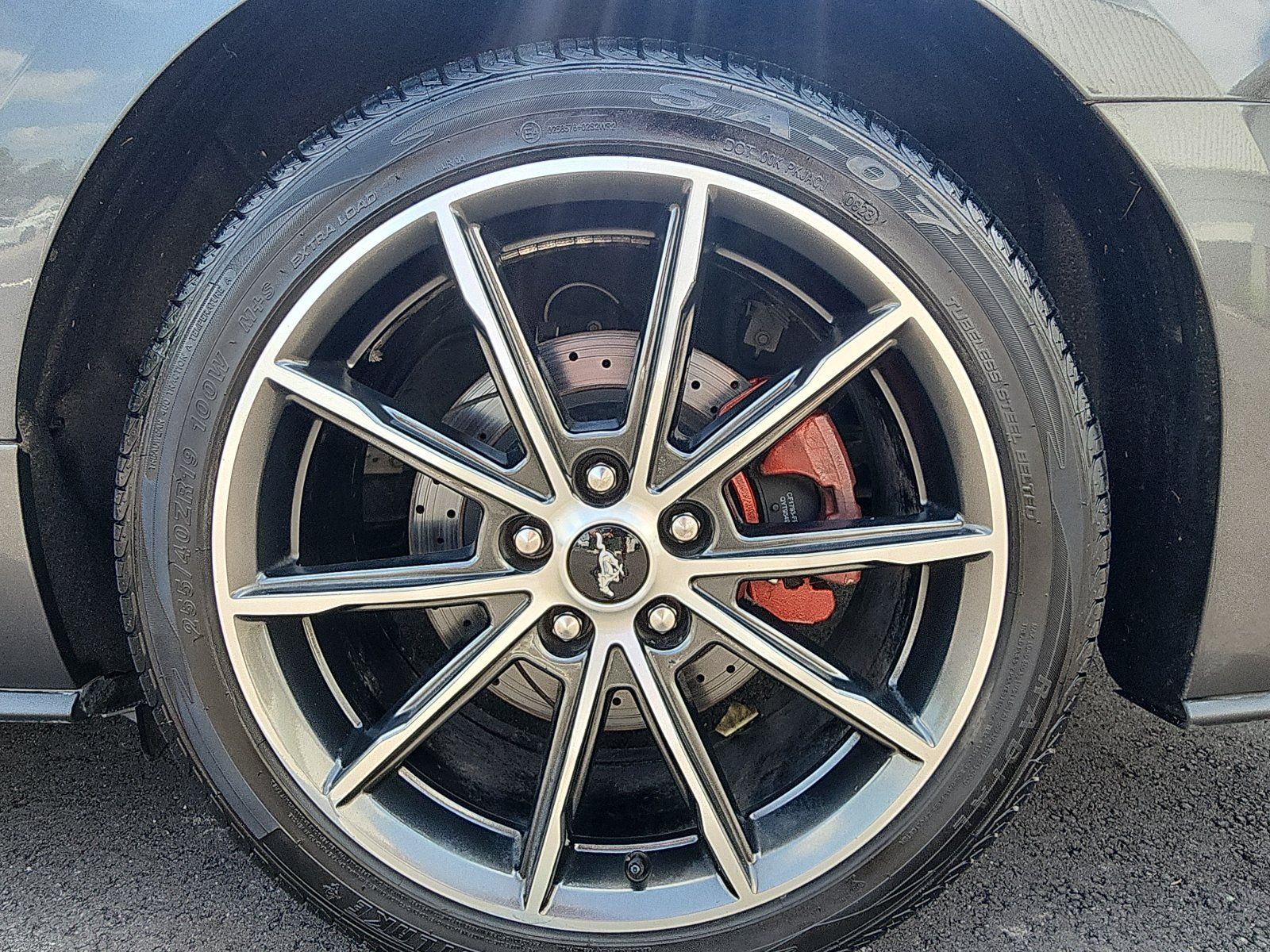 Used 2019 Ford Mustang Premium w/ Equipment Group 201A RWD image 9
