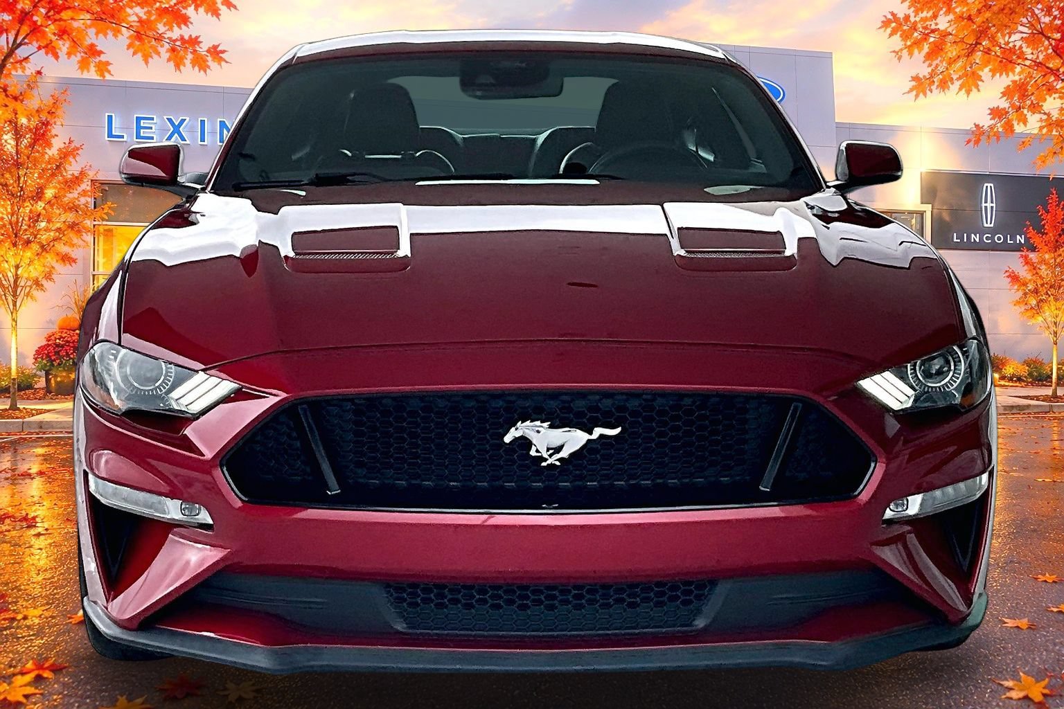 Used 2021 Ford Mustang GT Premium w/ Equipment Group 401A RWD image 2