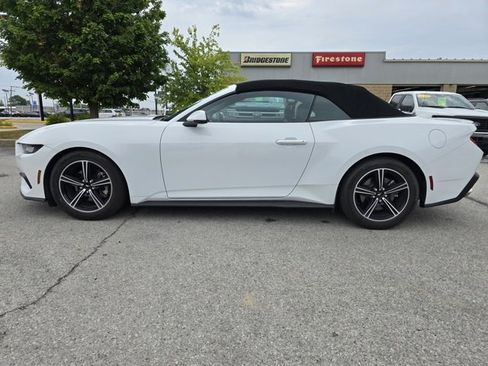 Used 2024 Ford Mustang Premium image 6