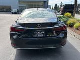 Certified 2022 Lexus ES 250 w/ Premium Package image 6