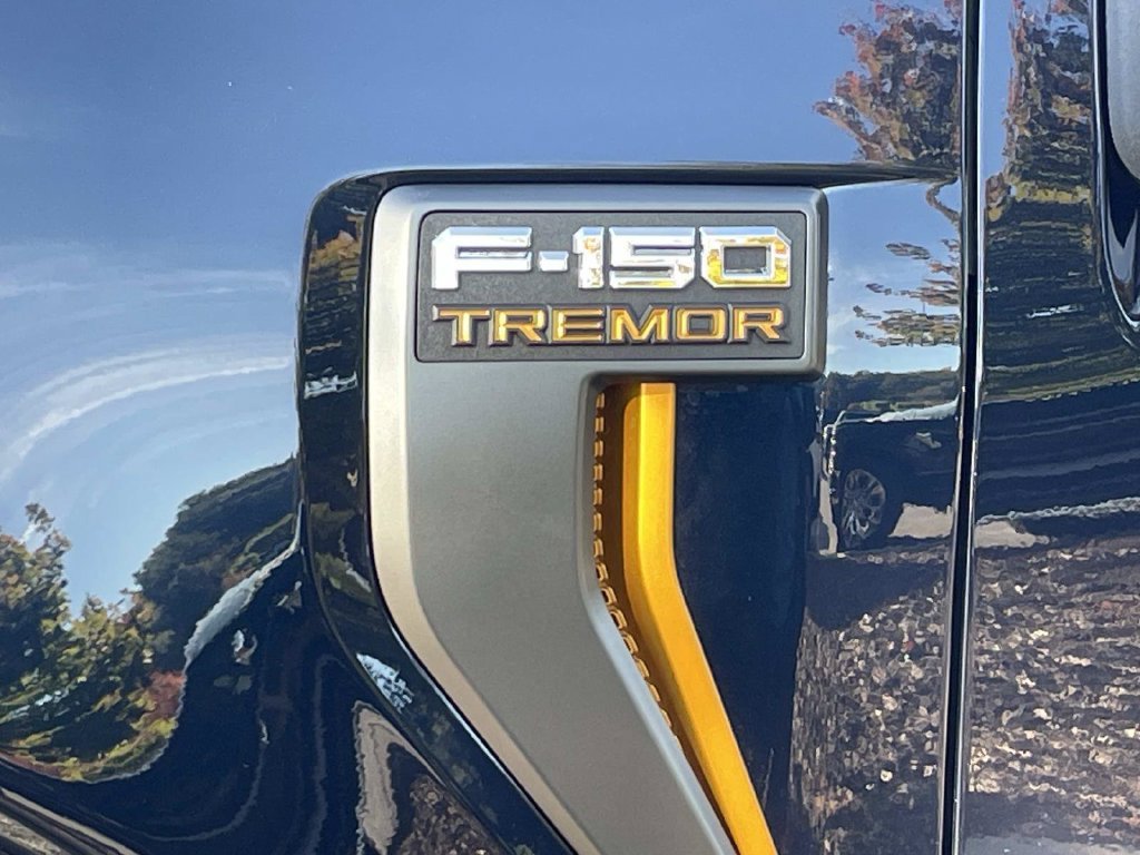 Certified 2025 Ford F150 Tremor w/ Equipment Group 402A High AWD/4WD image 11