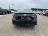 New 2025 Honda Civic Sport Touring image 4