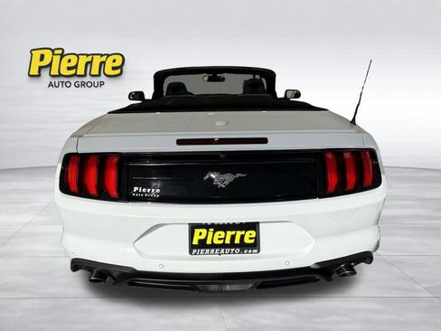 Used 2019 Ford Mustang Premium image 2