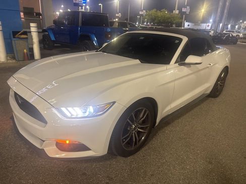 Used 2017 Ford Mustang Premium image 6