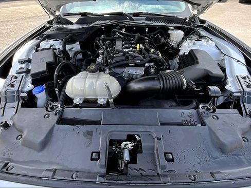 Used 2021 Ford Mustang Coupe w/ Equipment Group 101A image 9