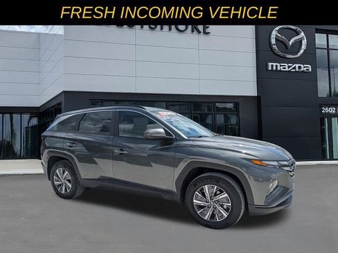 Used 2024 Hyundai Tucson Blue AWD/4WD image 1