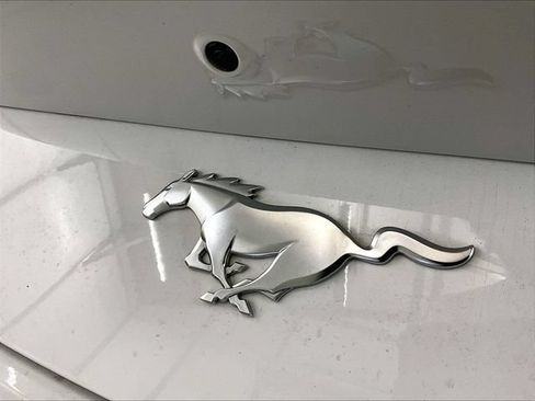 Used 2024 Ford Mustang Premium w/ 2.3L High Performance Package RWD image 13