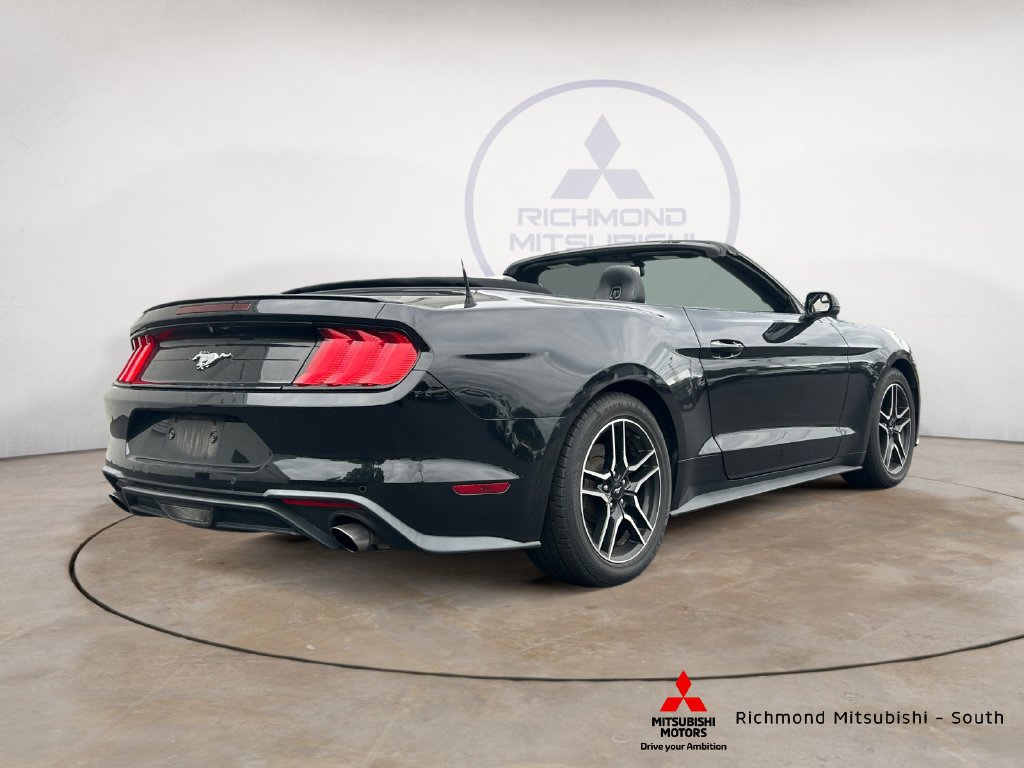 Used 2019 Ford Mustang Premium RWD image 3